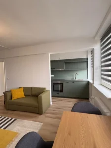 Helle 1-Zimmer-Wohnung – frisch renoviert, voll möbliert und bezugsfertig